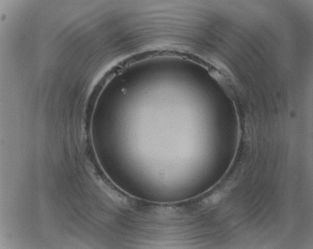 X0000062890880200601201843