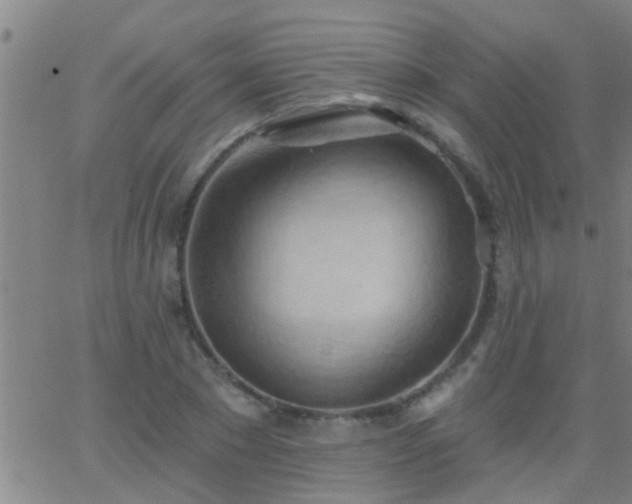 X0000062890881200601201843