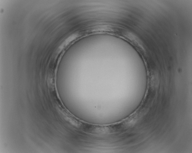 X0000062890882200601201843