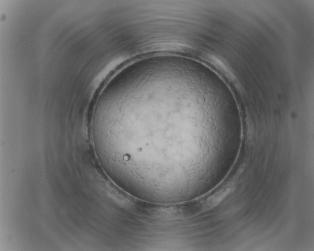 X0000062890883200601201843