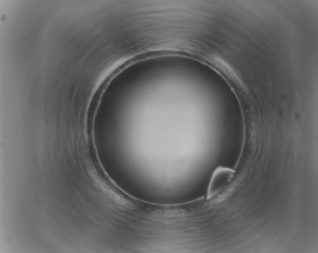 X0000062890884200601201843