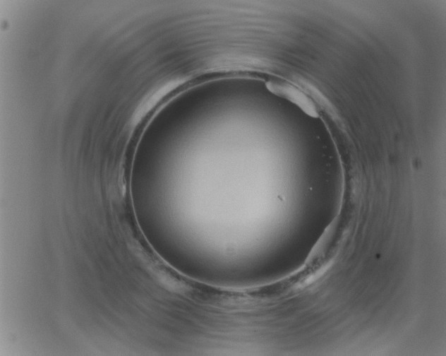 X0000062890885200601201843