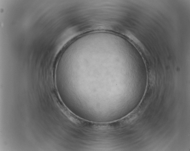 X0000062890886200601201843