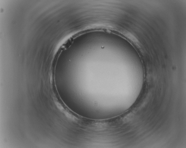 X0000062890888200601201843