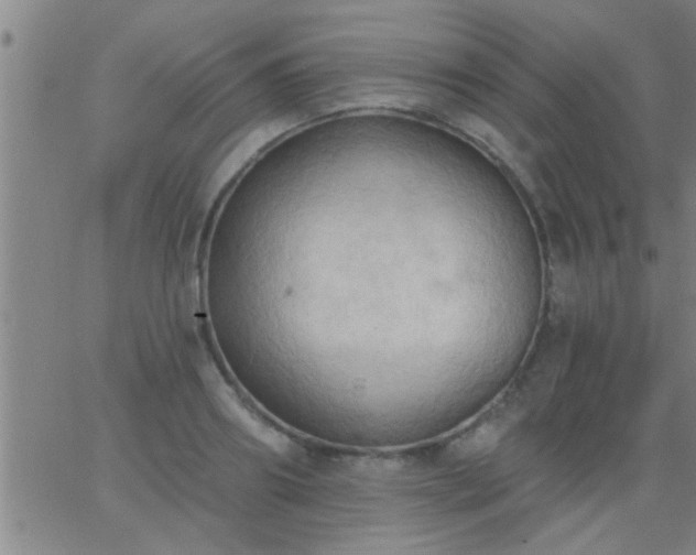 X0000062890890200601201843