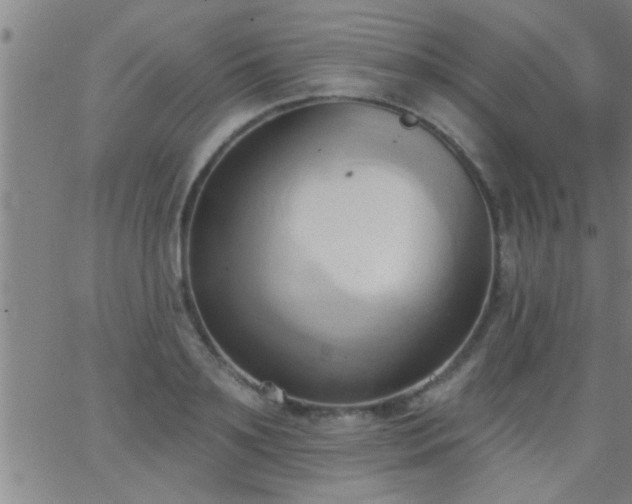 X0000062890891200601201843