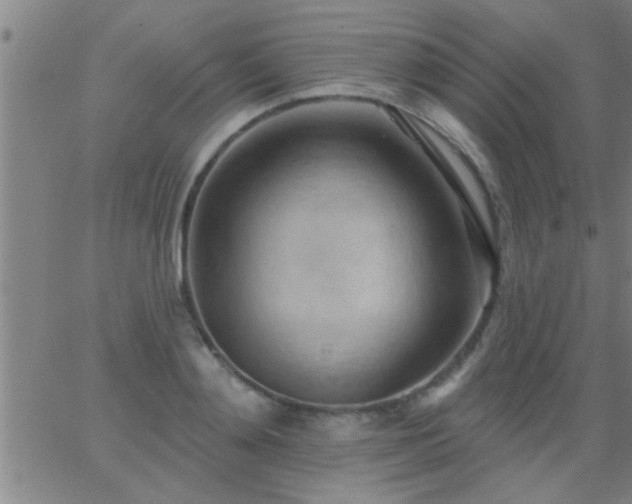 X0000062890892200601201843