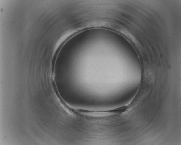 X0000062890894200601201843