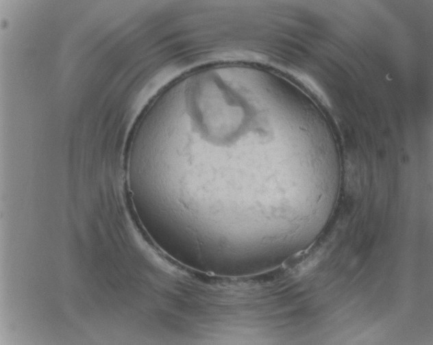 X0000062890895200601201843