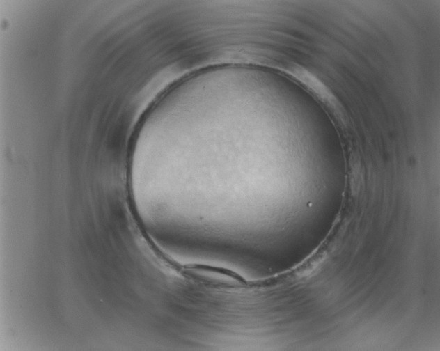 X0000062890896200601201843