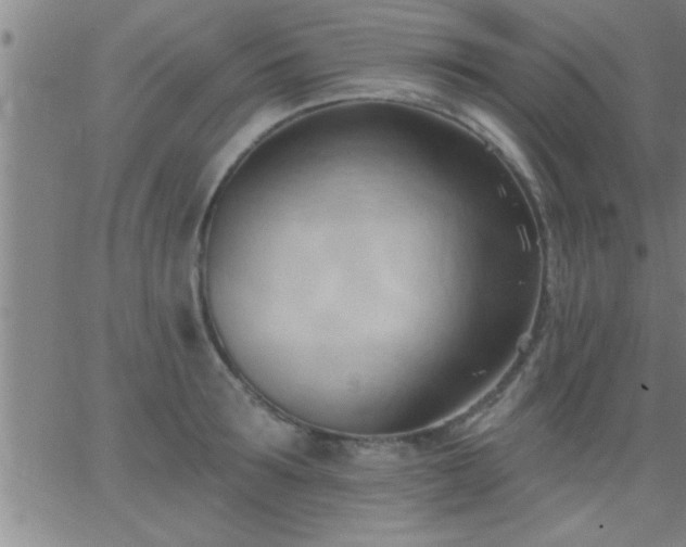 X0000062890899200601201843