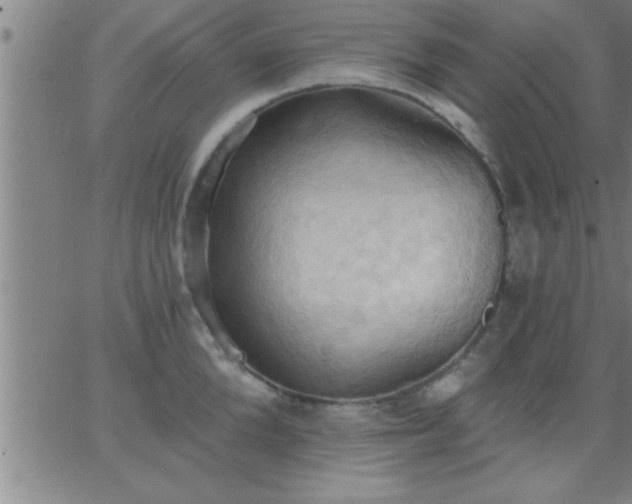 X0000062890904200601201842