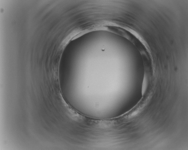 X0000062890905200601201842