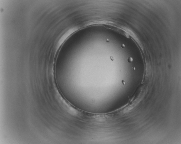 X0000062890906200601201842