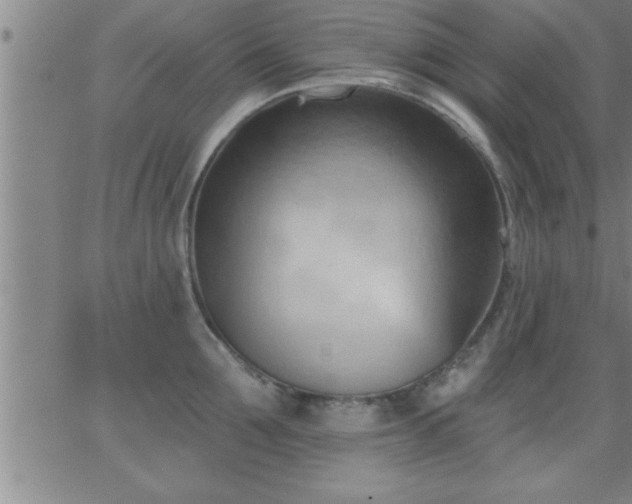 X0000062890907200601201842