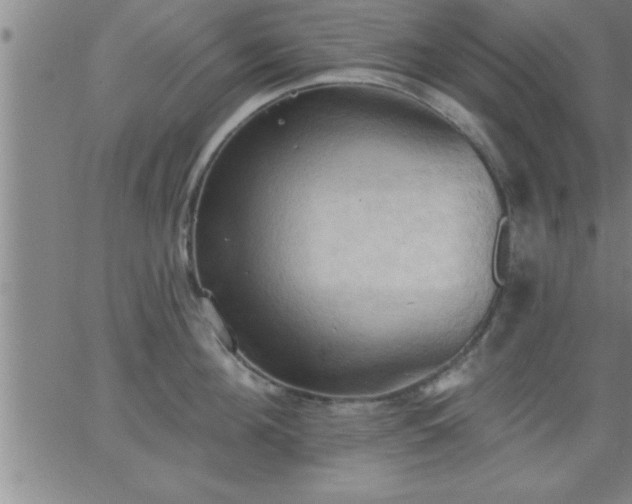 X0000062890908200601201842