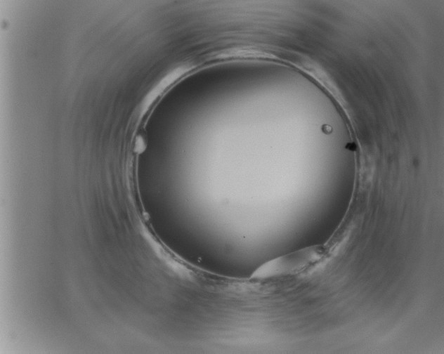 X0000062890909200601201842