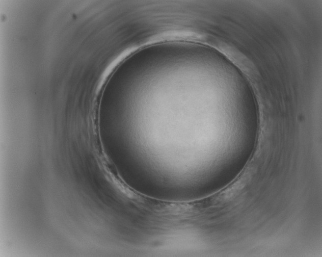 X0000062890912200601201842