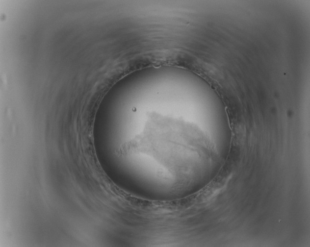 X0000062890913200601201842