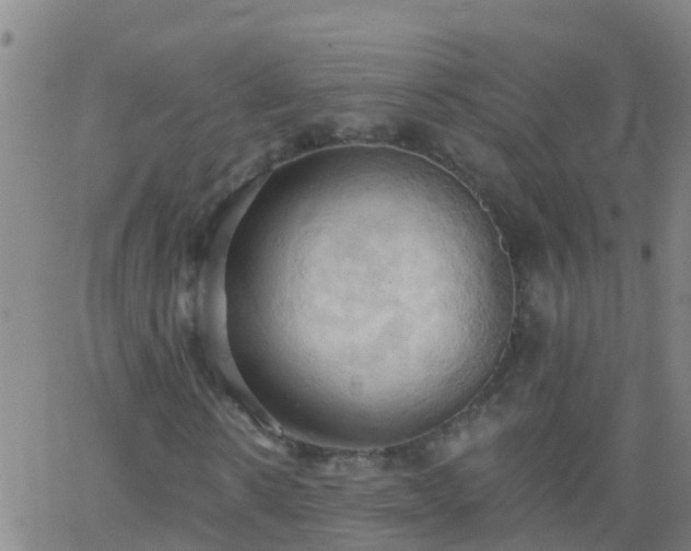 X0000062890914200601201842