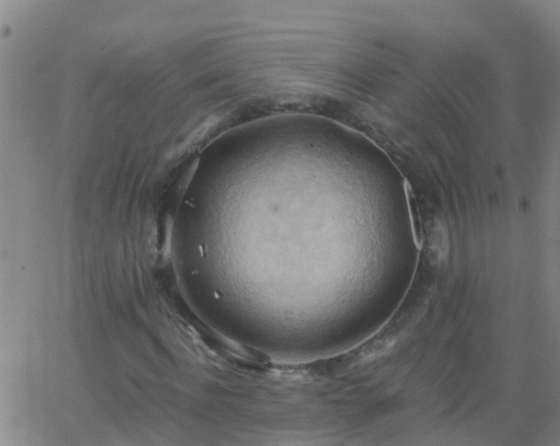 X0000062890916200601201842