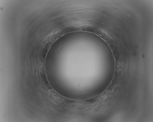 X0000062890917200601201842