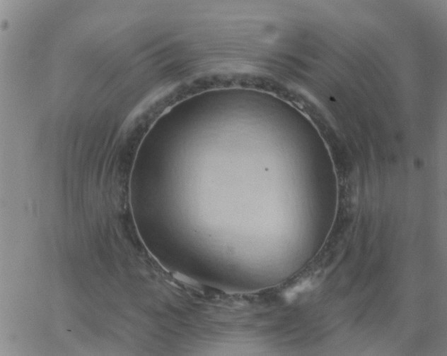 X0000062890919200601201842