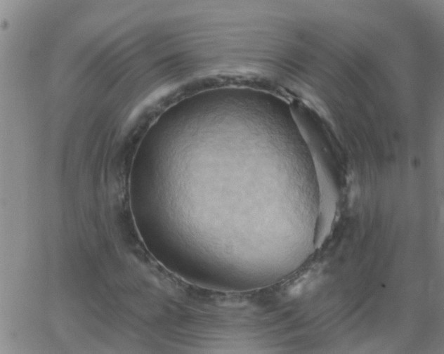 X0000062890920200601201842