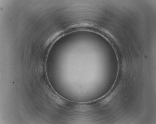 X0000062890921200601201842