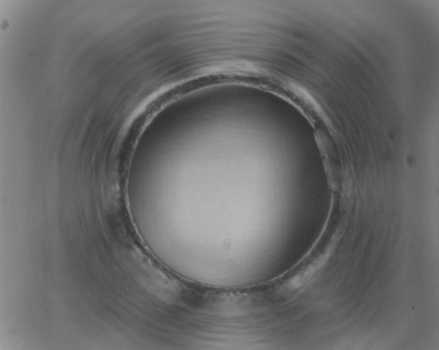 X0000062890923200601201842