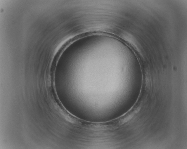 X0000062890924200601201842