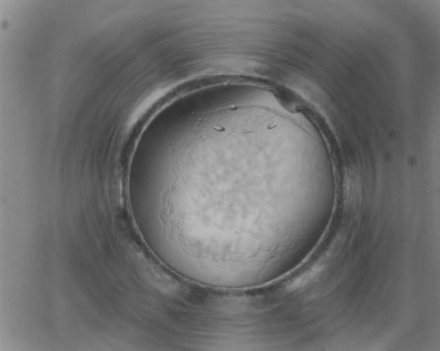 X0000062890925200601201842