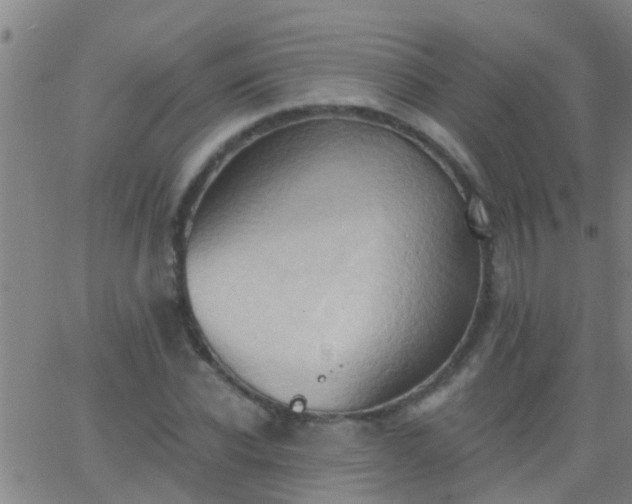 X0000062890926200601201842