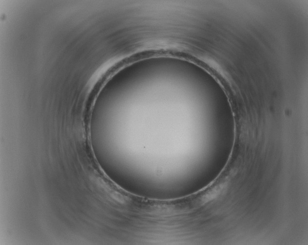 X0000062890927200601201842