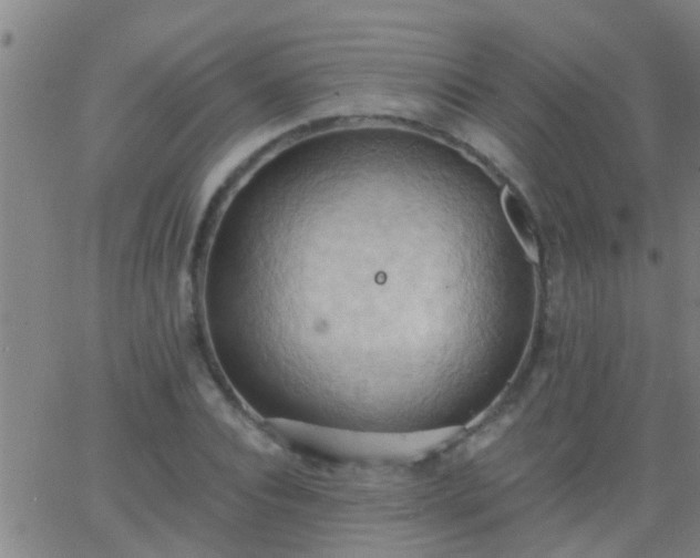 X0000062890928200601201842