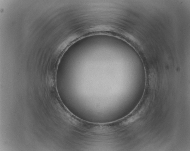 X0000062890929200601201842