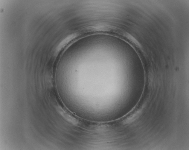 X0000062890930200601201842