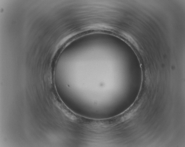 X0000062890931200601201842