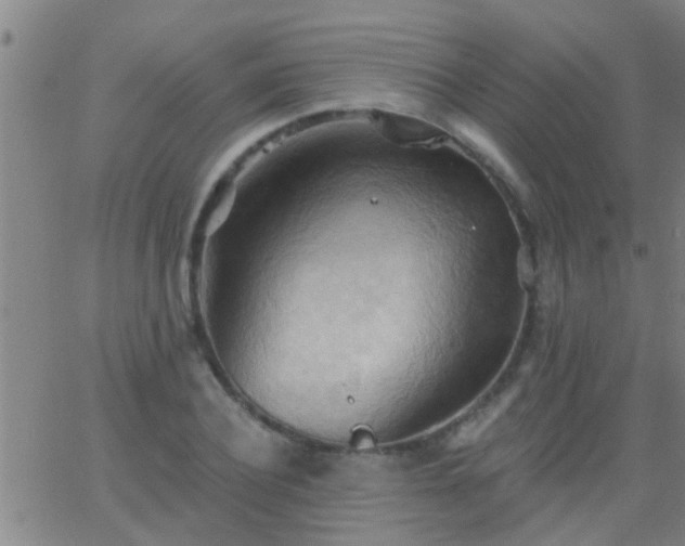 X0000062890932200601201842