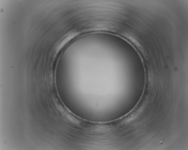 X0000062890933200601201842