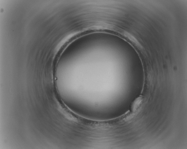 X0000062890934200601201842