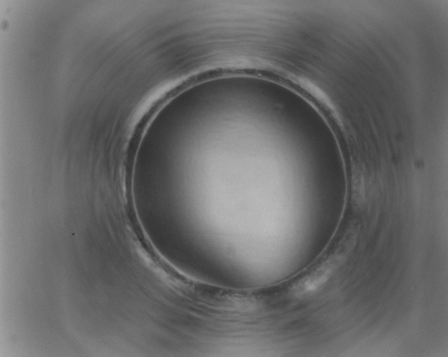 X0000062890935200601201842