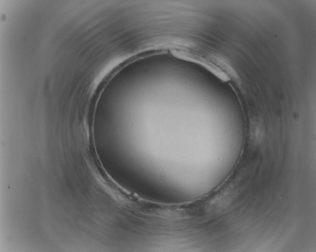 X0000062890936200601201842