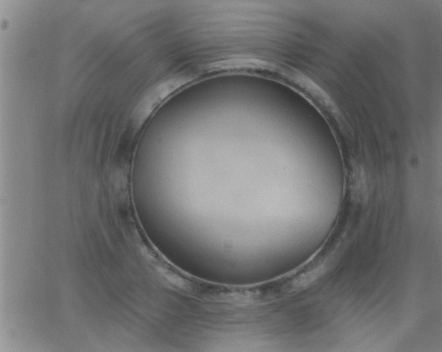 X0000062890937200601201842