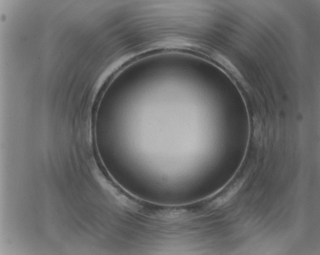 X0000062890939200601201842