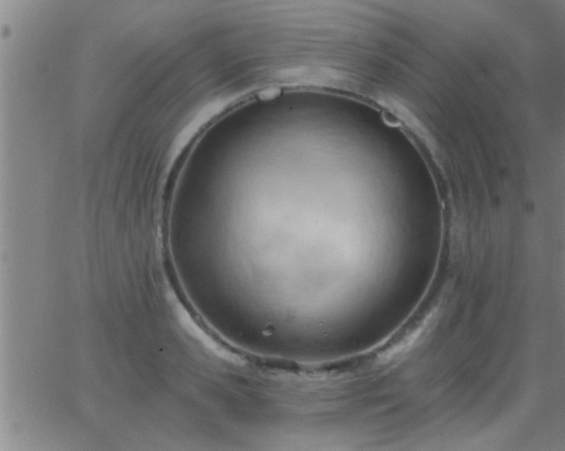 X0000062890941200601201842