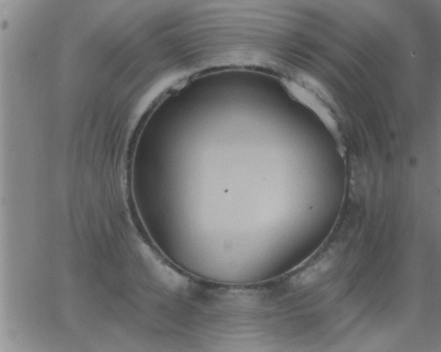 X0000062890942200601201842