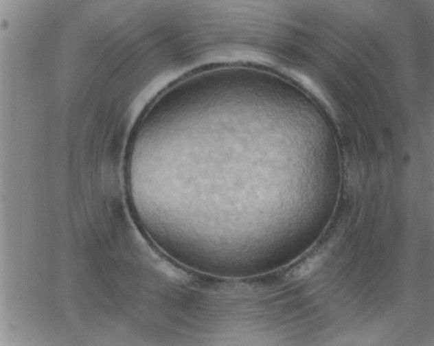 X0000062890943200601201842