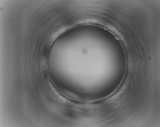 X0000062890945200601201842