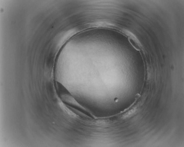 X0000062890946200601201842